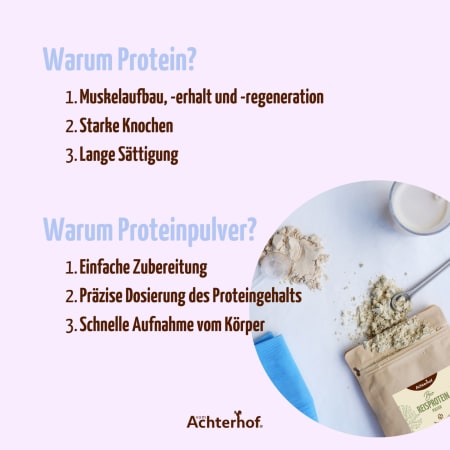 Reisprotein Pulver Bio (500g)