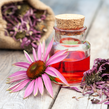 Sonnenhutkraut aus der Echinacea Pflanze geschnitten (250g)