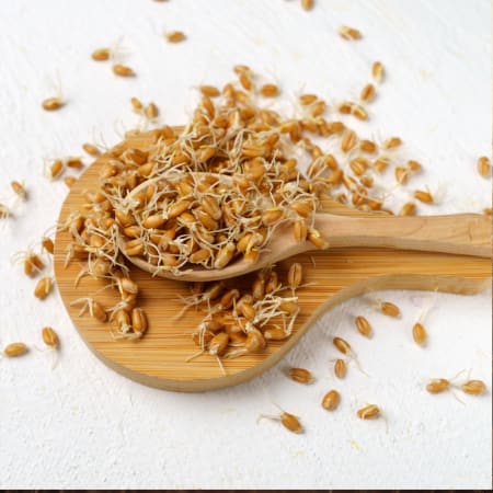 Spermidin aus Weizenkeimen Bio (500g)