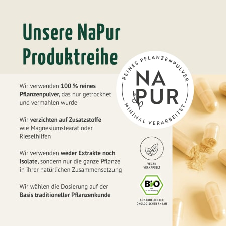 Triphala Kapseln Bio Nachfüllpack (400 Kapseln)