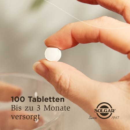 Zink Tabletten (100 Tabletten)