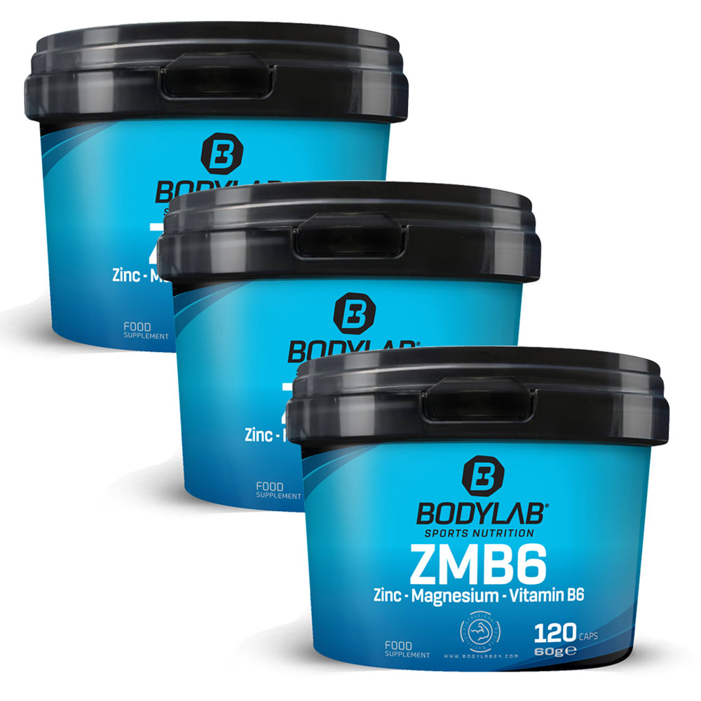 3 x ZMB6 Zinc Magnesium Vitamin B6 (je 120 Kapseln) Bodylab24 Shop