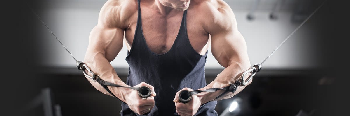 Infos zum Oberarmtraining bei Bodylab24