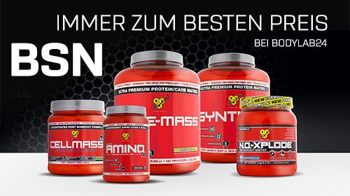 BSN – AMINO X