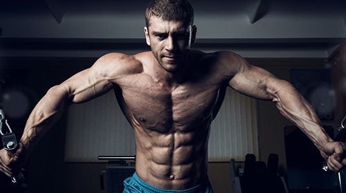 Full Body Workout - Droogtrainen