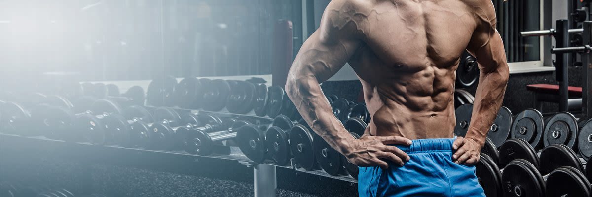 1500x500 Sixpack