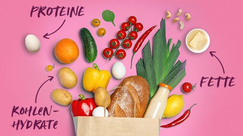 Grundlagen der Ernährung - Das Wichtigste zu Kohlenhydraten, Proteinen und Fetten!