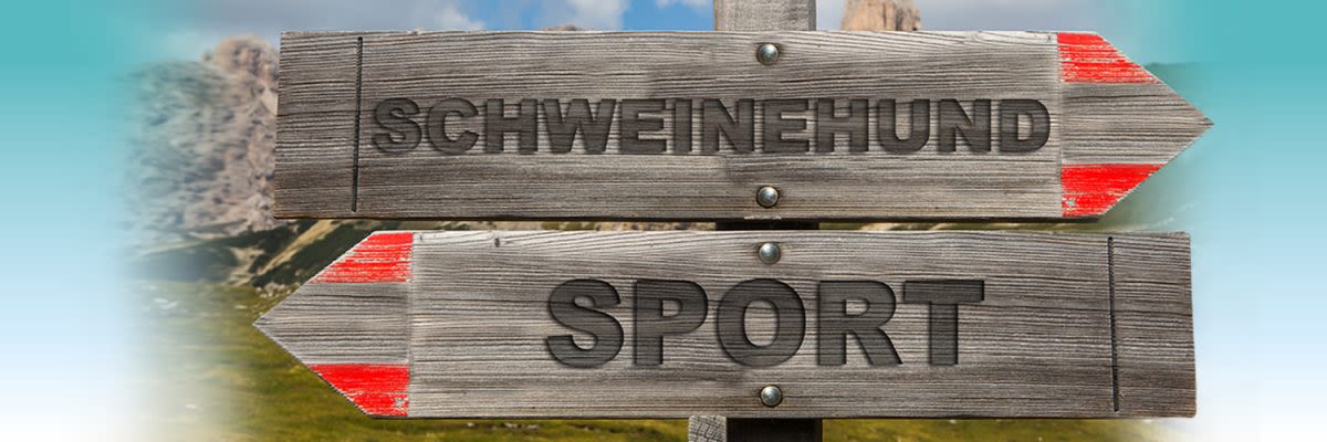 Innerer Schweinehund