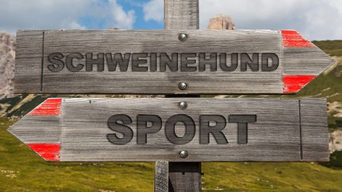 Vom Sportmuffel zur Fitness-QUEEN - wie du den inneren Schweinehund überwindest