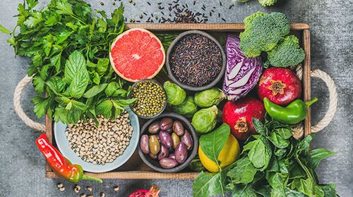Vegane Ernährung - des Tierwohls wegen!