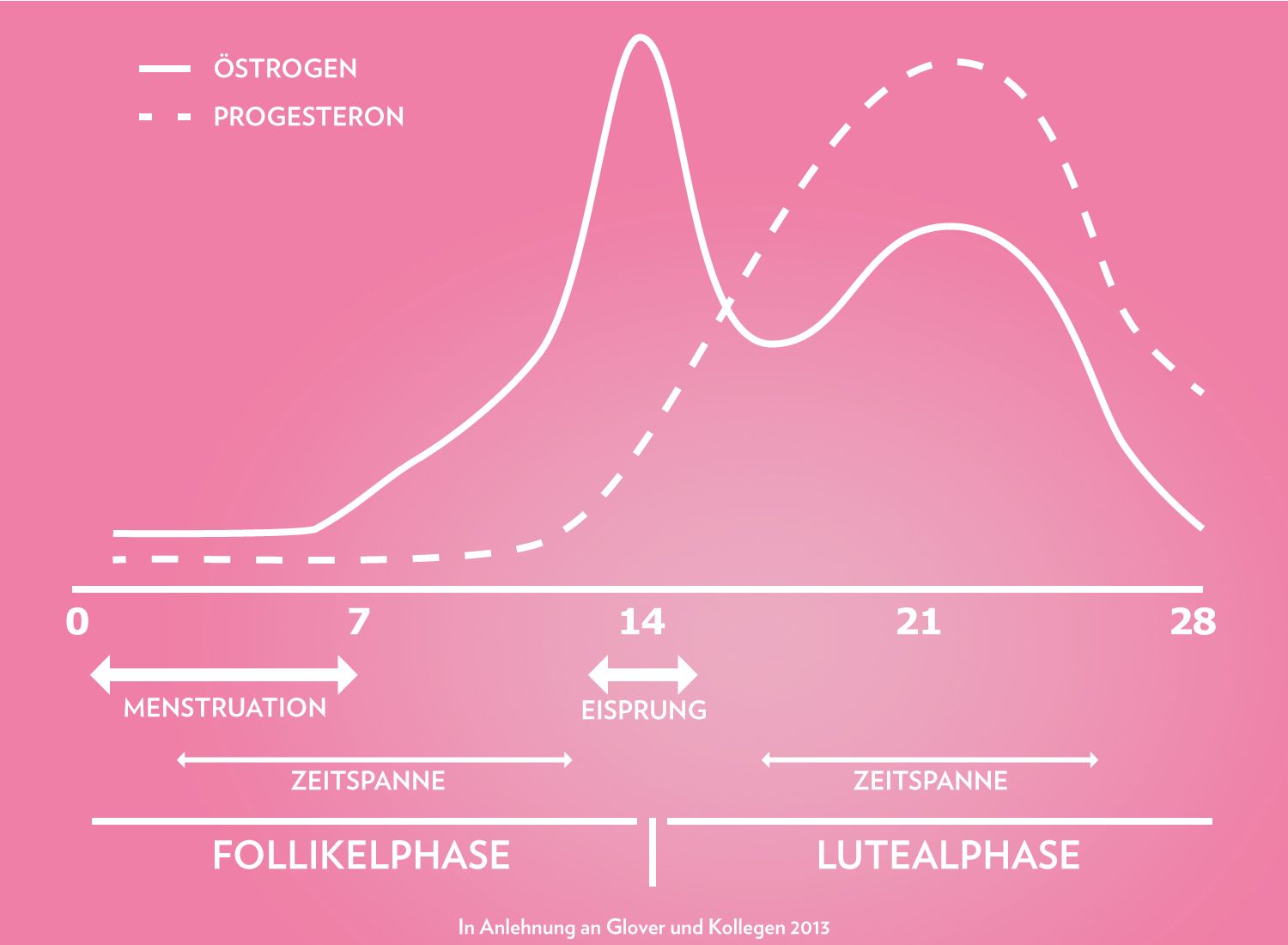 Training und Ernährung während der Periode GymQueen