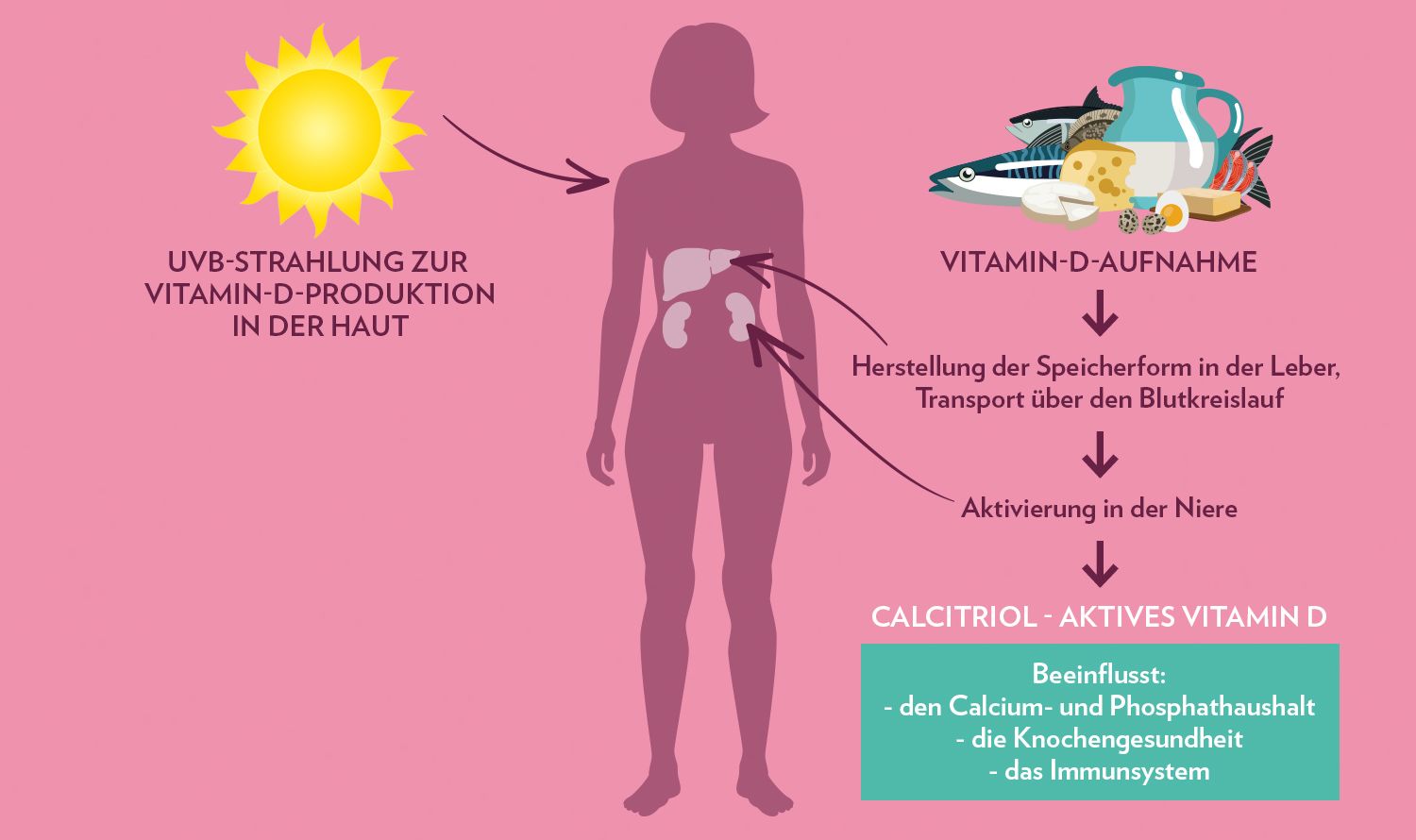 Sonnenvitamin: Vitamin D Nicht Bedenkenlos Substituieren - ak2jxhz