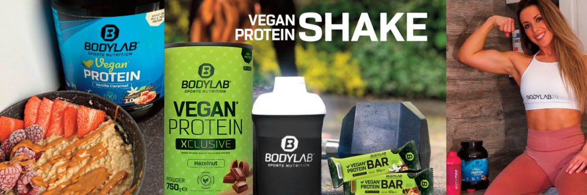 Vegan Protein bei Bodylab