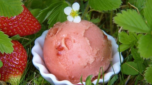 Joghurt Sommereis mit Erdbeeren (oder einer Alternative)