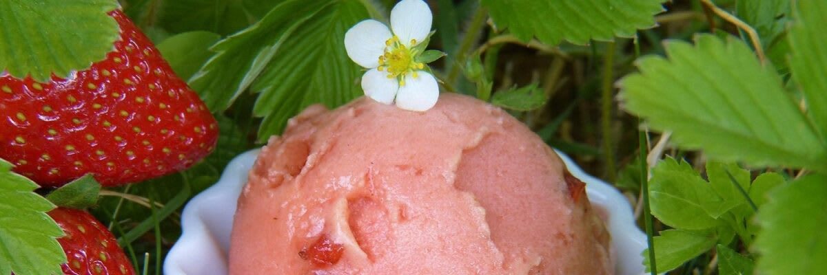 Yoghurt zomerijs met aardbeien