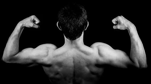 Een kort trainingsschema voor een sterkere rug