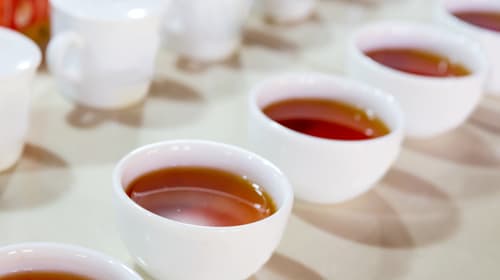 Ceylon Tee