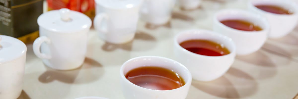 Ceylon Tee