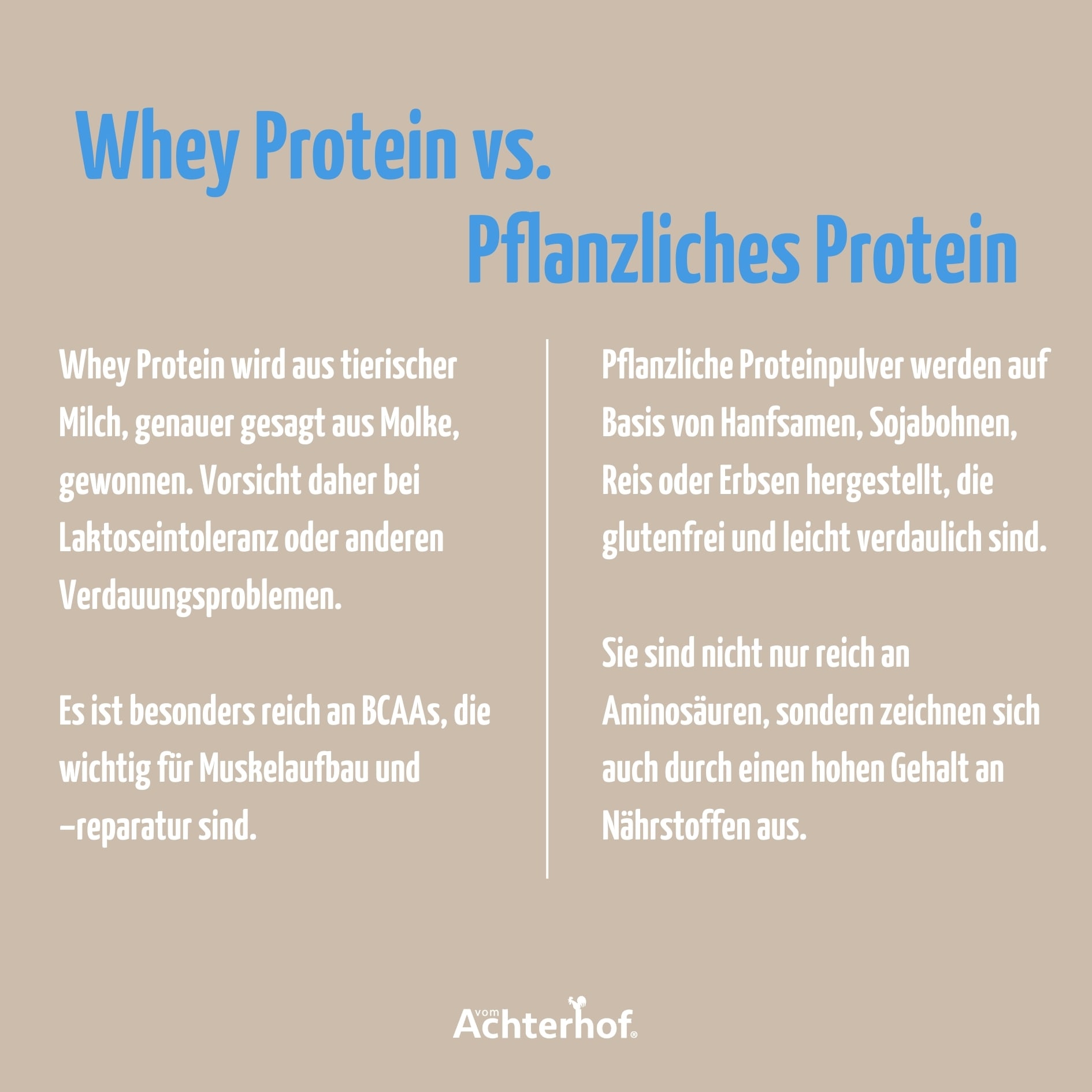 Whey vs. Pflanzliches Protein