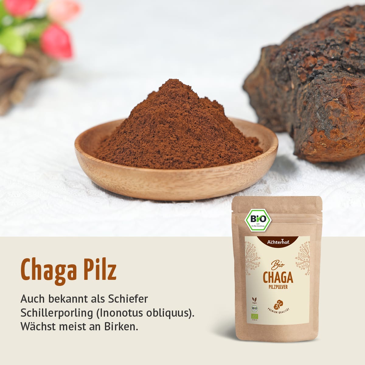 Chaga Pilz
