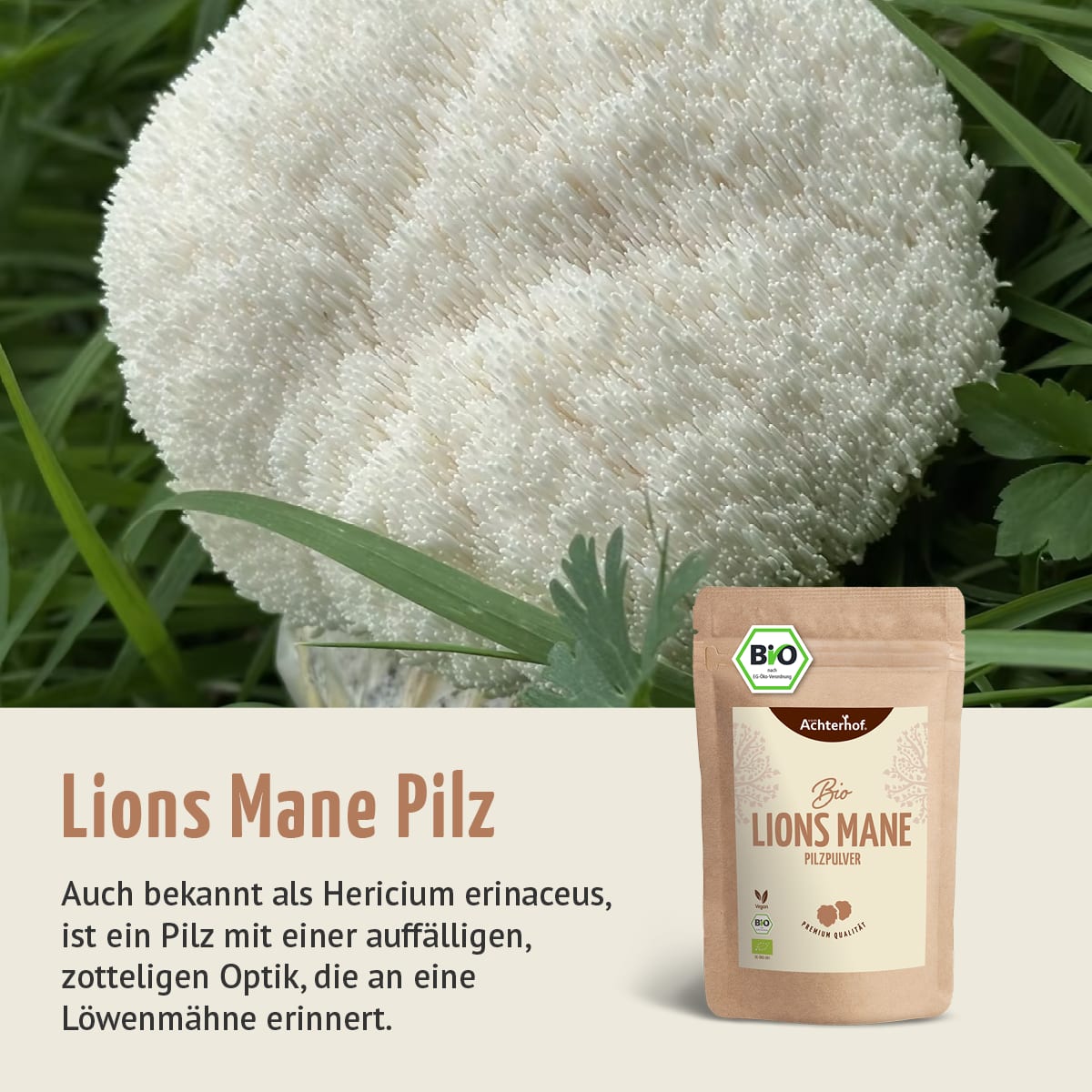 Lions Mane
