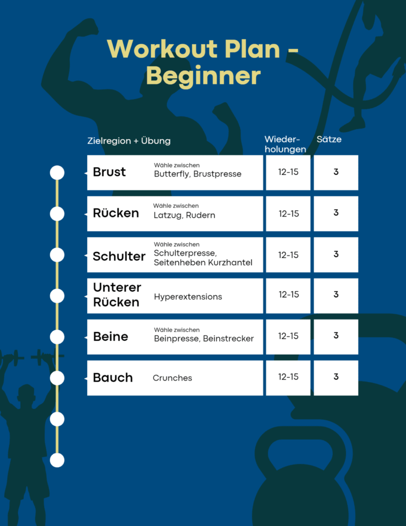 Gym Trainingsplan für Anfänger Muskelaufbau für Anfänger Bodylab DE