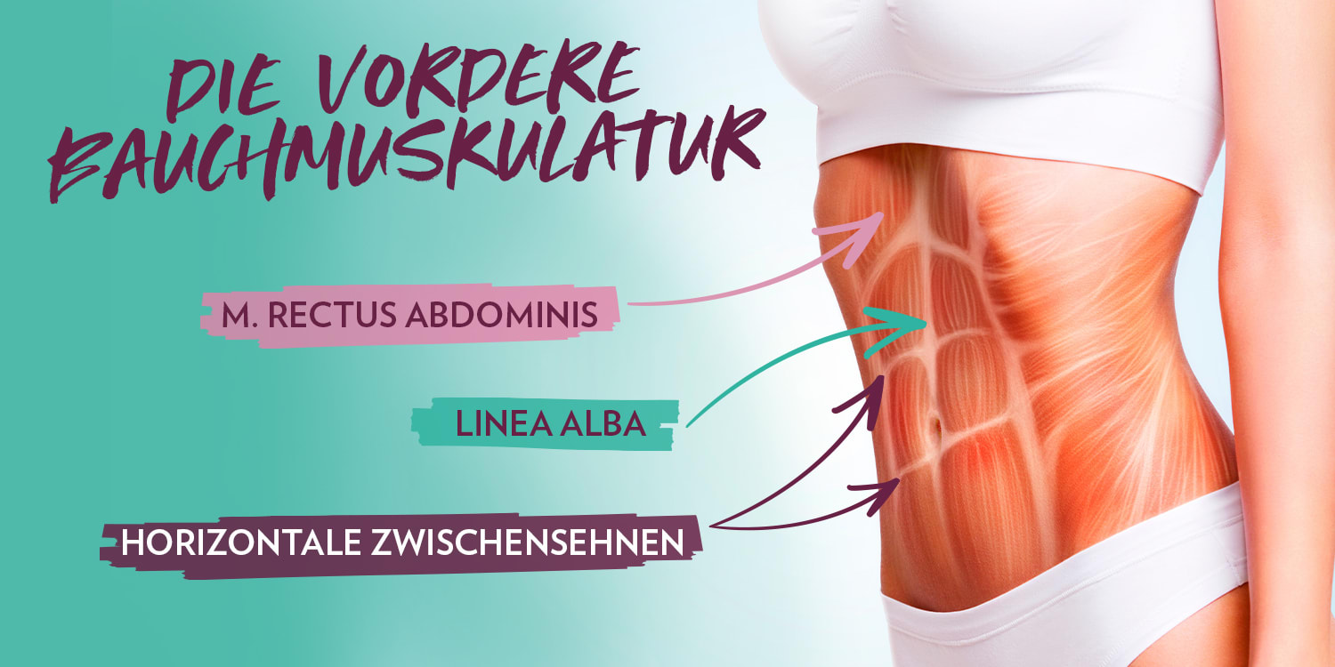 FLACHER BAUCH – 5 TRAINER-TIPPS - GymQueen