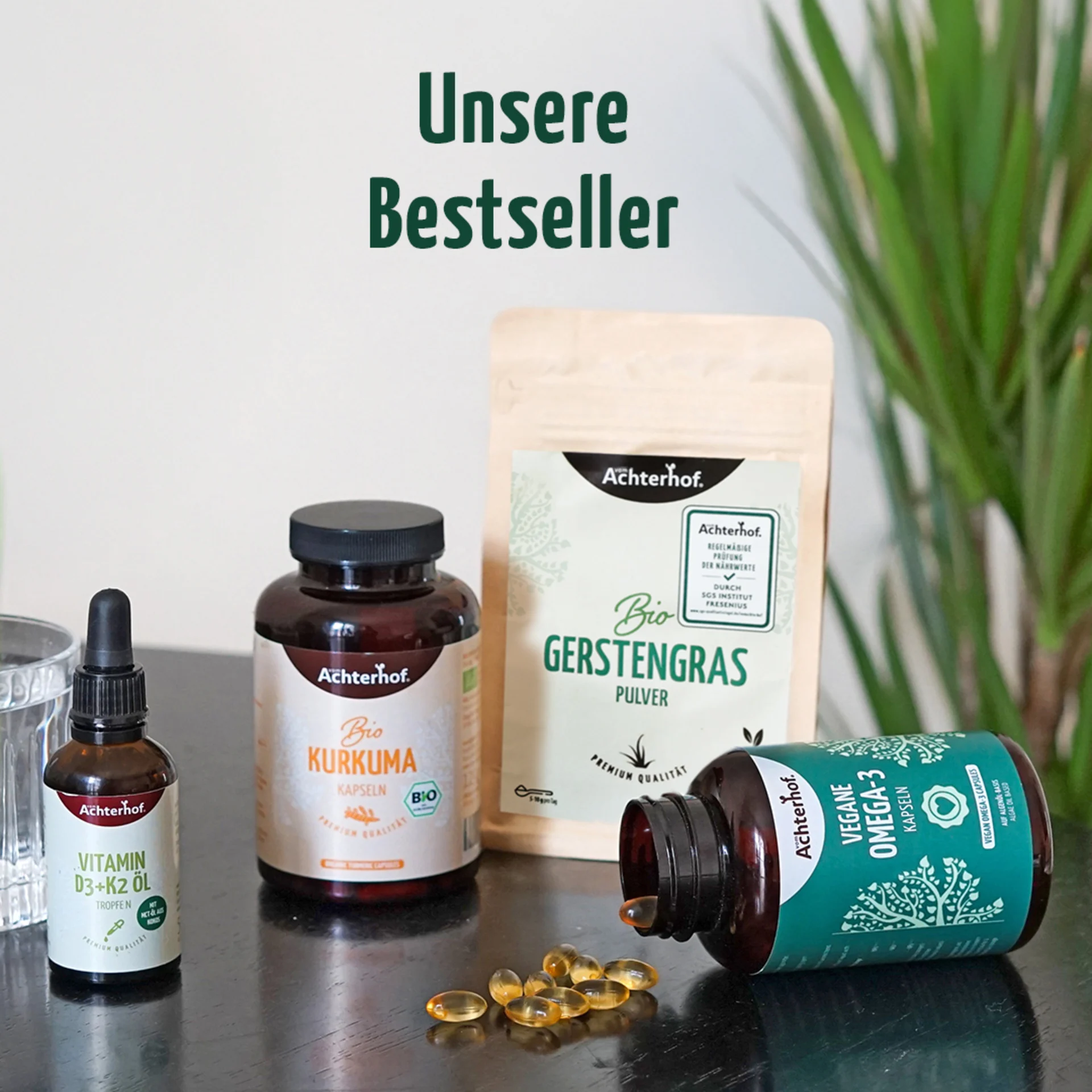 ads_kampagne