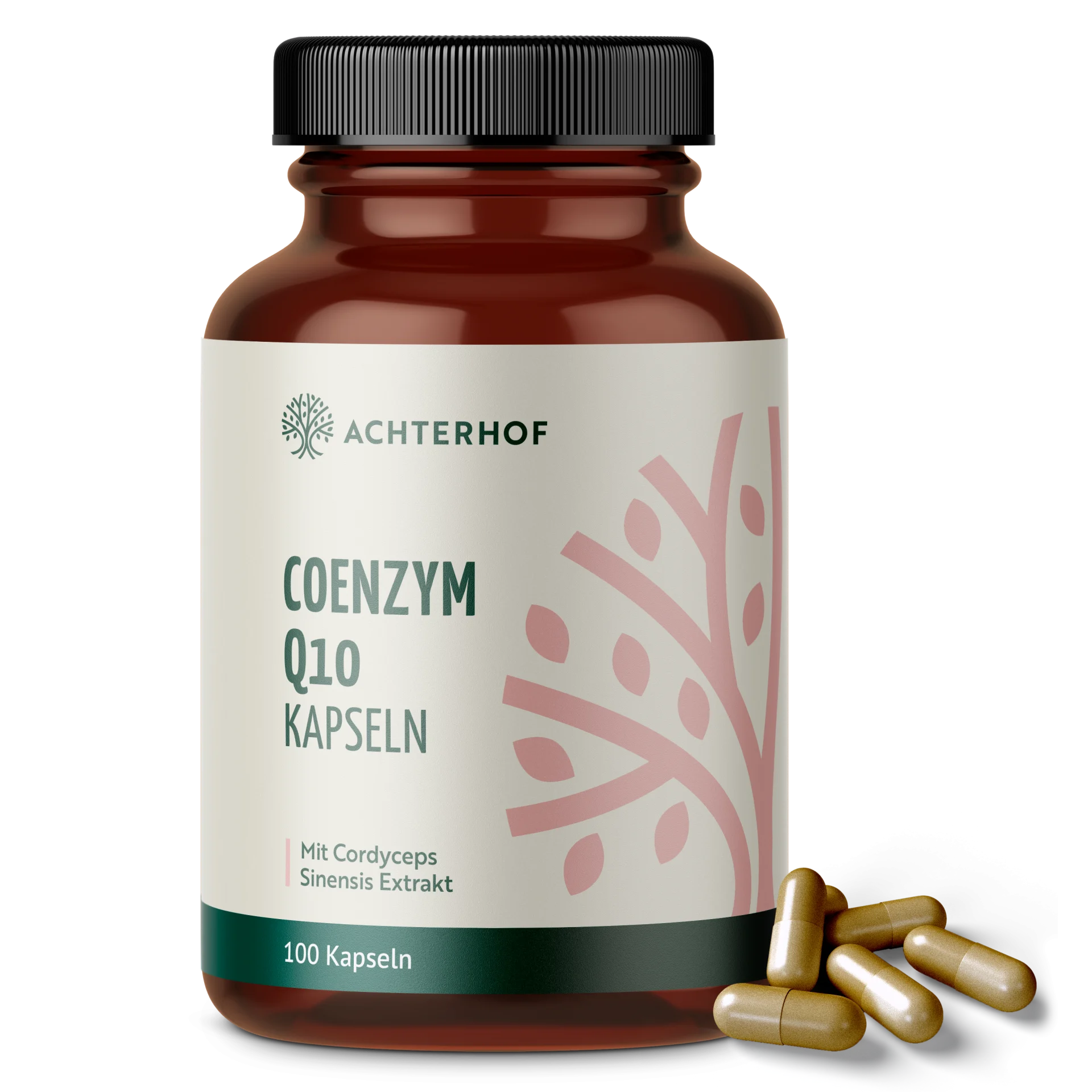 Coenzym Q10 Cordyceps (100 Kapseln) depicted