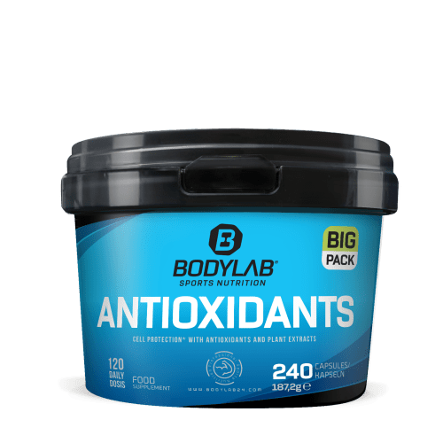 BIG Pack Antioxidants (240 Kapseln) — Bild 2