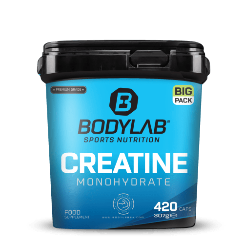 BIG PACK Creatine Monohydrate (420 Kapseln)