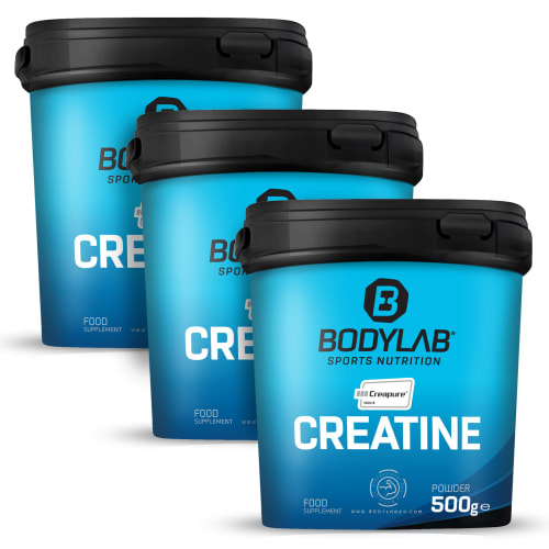 Creatine (Creapure®) (500g) — Bild 2