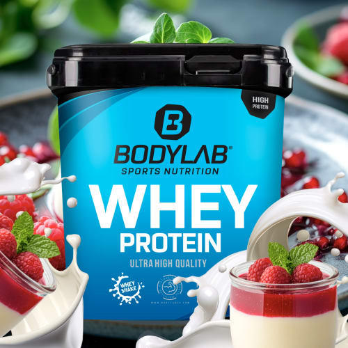 Whey Protein - 1000g - Pannacotta — Bild 2