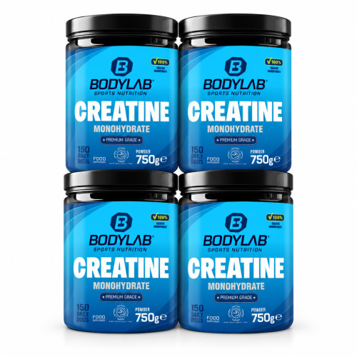 BODYLAB 3kg Creatine Monohydrate + Whey Sample Box